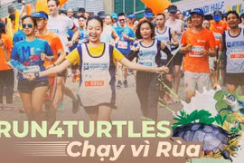 Une course à pied prévue en décembre pour protéger les tortues en voie de disparition