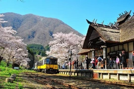 Le Japon enregistre un afflux record de touristes vietnamiens en février