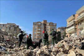 Séisme en Turquie: les secouristes vietnamiens poursuivent leurs efforts inlassables