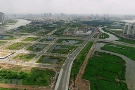 Des Viet-kieu en République tchèque donnent des avis sur le projet de loi foncière (révisée)