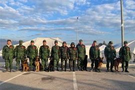 Les chiens renifleurs du Vietnam obtiennent des résultats positifs lors d'un sauvetage en Turquie