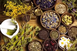 Le Vietnam veut se renforcer sur le marché des herbes médicinales