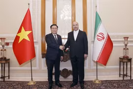 Entretien entre les présidents des organes législatifs du Vietnam et d’Iran