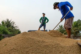 Festival international du riz Vietnamien 2023 
