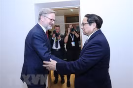 Nouvel élan pour les relations de coopération et d’amitié tradititonnelles Vietnam – R. tchèque