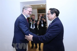 Nouvel élan pour les relations de coopération et d’amitié tradititonnelles Vietnam – R. tchèque