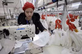 Le Vietnam - une destination attractive pour les pays nordiques