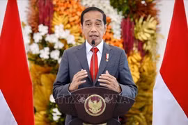 Le président indonésien souligne la solidarité de l’ASEAN lors de l’ouverture du 42e Sommet du bloc