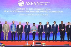 Le Vietnam est déterminé à mettre en œuvre le Plan d'action du SEANWFZ 