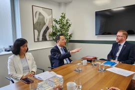 Promotion de la coopération multiforme Vietnam-Irlande du Nord
