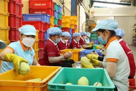 Des autorités locales cherchent à stimuler le commerce agricole Vietnam - Chine