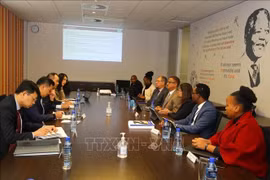 Le Vietnam et l'Afrique du Sud partagent leurs expériences en matière d’audit