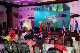 Un festival vise à promouvoir les relations entre le Vietnam et l'Inde