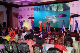 Un festival vise à promouvoir les relations entre le Vietnam et l'Inde