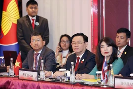 Le président de l’AN Vuong Dinh Huê à la réunion du comité exécutif de l’AIPA
