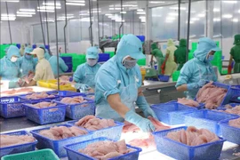 Le Japon devient le plus grand importateur de produits aquatiques vietnamiens