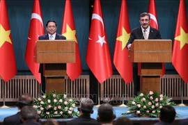 Le Vietnam est un partenaire de premier plan de la Turquie et des Émirats arabes unis au sein de l'ASEAN