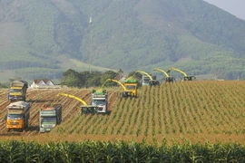 L'engagement du secteur privé est nécessaire pour promouvoir la croissance verte au Vietnam 