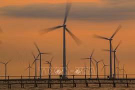 Politiques et solutions technologiques pour développer l'énergie solaire et éolienne au Vietnam