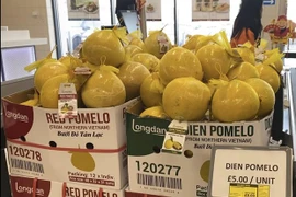 Les pamplemousses de Diên mises en vente sur le marché britannique