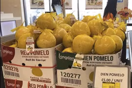 Les pamplemousses de Diên mises en vente sur le marché britannique
