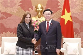 L’amitié spéciale Vietnam-Cuba, un modèle de relations internationales