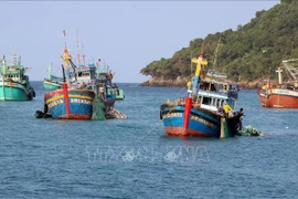 Tra Vinh redouble d’efforts pour lutter contre la pêche INN