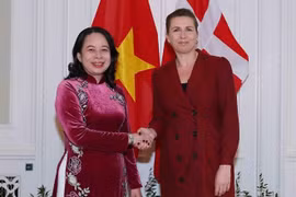 Le Vietnam et le Danemark conviennent de mettre en œuvre prochainement un partenariat stratégique vert