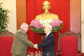 Le Vietnam fait de son mieux dans ses capacités pour aider Cuba 