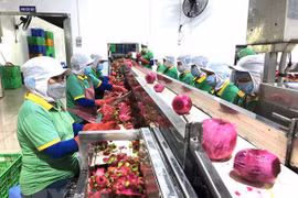 Renforcement de la coopération Vietnam-Chine dans le commerce des produits agricoles