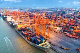 Les capitaux étrangers continuent d'affluer dans les ports maritimes du Sud 