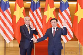 Développement des relations Vietnam-Malaisie dans divers domaines