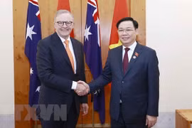 Les relations Vietnam – Australie se développent heureusement dans plusieurs domaines