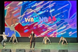 Un spectacle célèbre les 50 ans des relations diplomatiques Vietnam-Australie