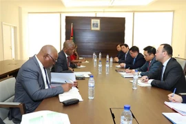 Le Vietnam et le Mozambique boostent leur coopération dans le développement agricole