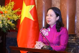 Le Vietnam et le Mozambique promeuvent leurs relations bilatérales