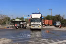 Le PM ordonne de prévenir et traiter sévèrement le transport illégal de volailles vers le Vietnam