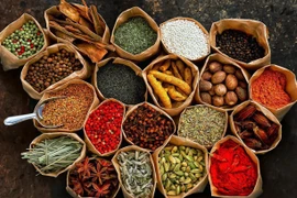 Élargir les marchés d'exportation d'herbes médicinales vietnamiennes
