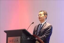 La Fête nationale du Vietnam célébrée dans de nombreux pays du monde