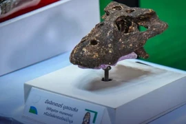 Thaïlande : publication d'informations sur une nouvelle espèce de crocodile vieille de 230 000 ans