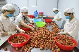 La promotion des exportations de fruits vietnamiens au menu d’un séminaire à Ho Chi Minh-Ville