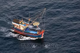 Mettre en œuvre de toute urgence des mesures fortes contre la pêche INN