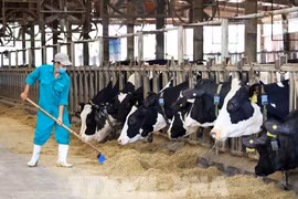 Super Nut de Vinamilk remporte le prix de la meilleure alternative au lait de vache 2023
