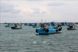 D’inlassables efforts de Binh Thuan pour mettre fin la pêche INN