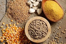 Le Vietnam importe plus de 2 milliards de dollars des aliments pour animaux en 5 mois