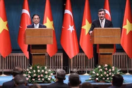 Le Vietnam est un partenaire de premier plan de la Turquie et des Émirats arabes unis au sein de l'ASEAN