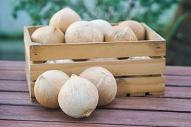Les États-Unis délivrent un "visa" pour la noix de coco vietnamien
