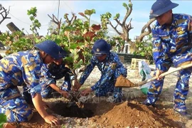 La province de Khanh Hoa travaille pour verdir davantage Truong Sa