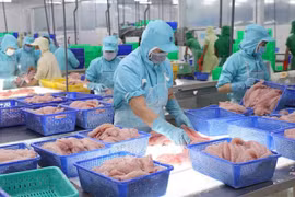 EVFTA : la porte est largement ouverte pour les marchandises vietnamiennes exportées vers l’UE