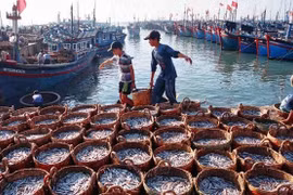 INN : Tien Giang suit les recommandations sur la prévention de la pêche illégale